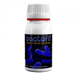 Bactofil de Agrobacterias