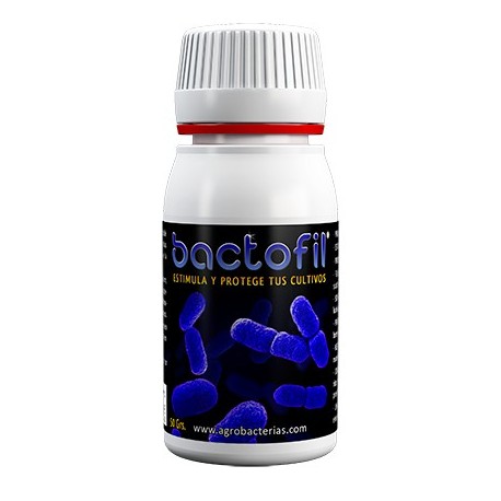 Bactofil de Agrobacterias