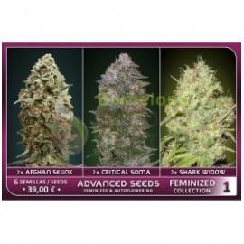 Feminized Collection 1 de Advanced Seeds