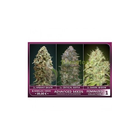 Feminized Collection 1 de Advanced Seeds