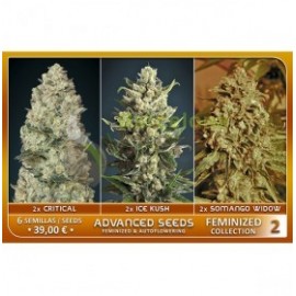 Feminized Collection 2 de Advanced Seeds