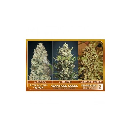 Feminized Collection 2 de Advanced Seeds