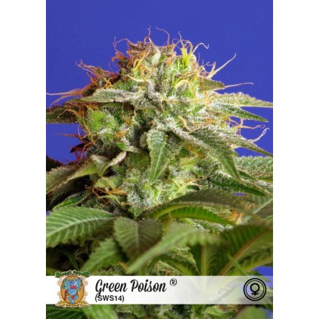 Semillas de marihuana Green Poison