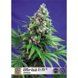 Killer Kush F1