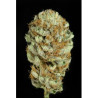 Blue Kush (3 semillas) feminizadas de Dinafem Seeds
