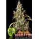 Monster (3 semillas)