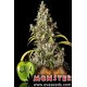 Semillas de marihuana Monster