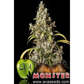 Monster (3 semillas)