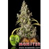 Monster (3 semillas)