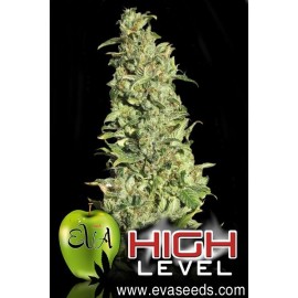 High Level (3 semillas)