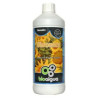 Bioaigua Bloomer 1L | Bioaigua fertilizante