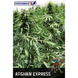 Afghan Express