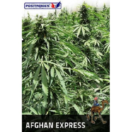 Afghan Express