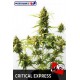 Critical Express