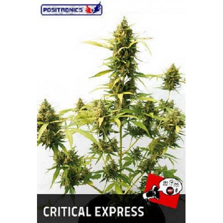 Critical Express