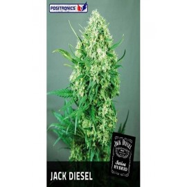 Semillas Jack Diesel de Positronics