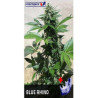 Blue Rhino feminizadas de Positronics Seeds