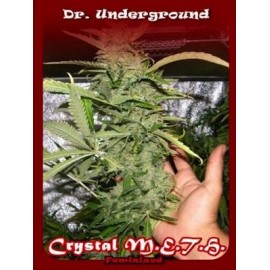 Crystal Meth de Dr Underground