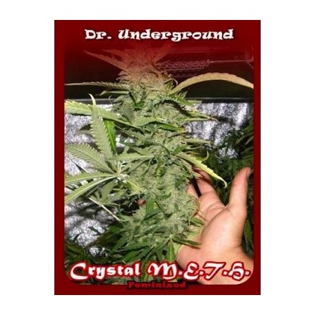 Crystal Meth de Dr Underground