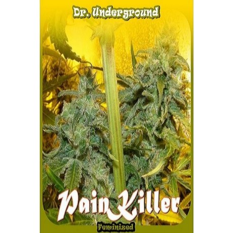 Semillas de marihuana medicinal Painkiller