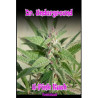 U-Pink Kush feminizadas de Dr. Underground