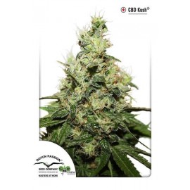 Semillas de marihuana medicinales CBD Kush