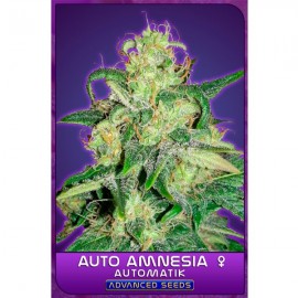 Auto Amnesia