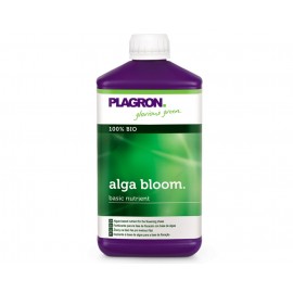 Alga Bloom