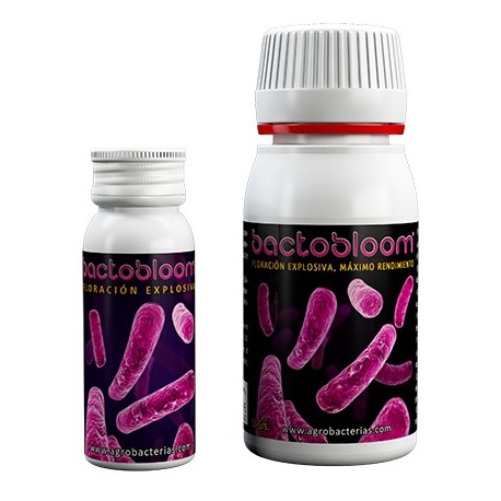 Bactobloom de Agrobacterias