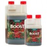 Boost Accelerator