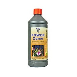 Power Zyme de Hesi