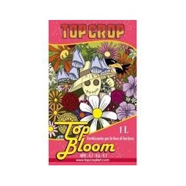 Top Bloom