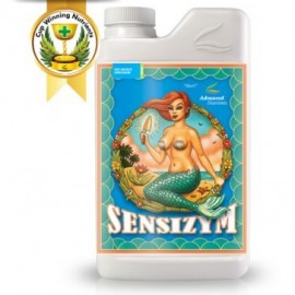 Sensizim 1 Litro