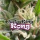 Auto King Kong de Dr Underground