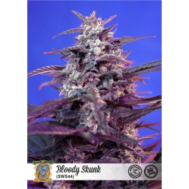 Blody Skunk Auto de Sweet Seeds