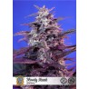 Bloody Skunk Auto