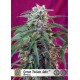 Semillas autoflorecientes Green Poison Auto de Sweet Seeds