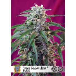 Green Poison auto