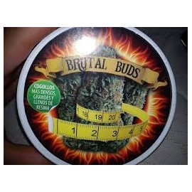 Brutal Buds