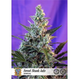 Sweet Skunk Auto de Sweet Seeds