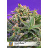 Sweet Cheese de Sweet Seeds con el 20%