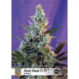 Sweet Skunk Fast Version