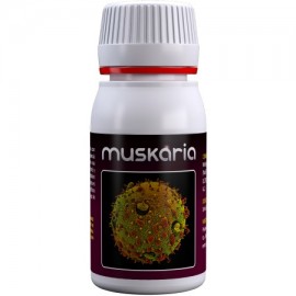 Muskaria