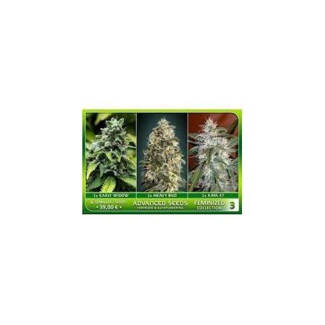 Feminized Collection 3 de Advanced Seeds