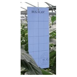 Placas Bug Scan azules