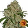 Phantom OG