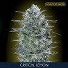 Critical Lemon feminizadas de Advanced Seeds