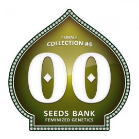 Female Collection 4 de 00 Seeds