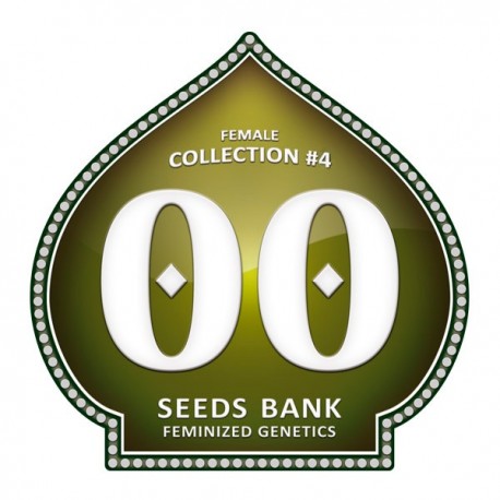 Female Collection 4 de 00 Seeds