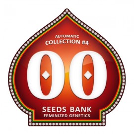 Automatic Collection 4 de 00 Seeds